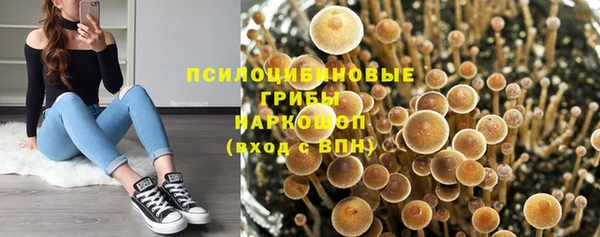 прущий лед Медногорск