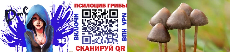 хочу наркоту  Енисейск  Псилоцибиновые грибы мухоморы 